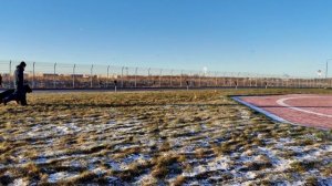 1 Отл. КЧК Оберлауф ШЕЙКЕР +++ №84. САНКТ-ПЕТЕРБУРГ 12 декабря`25 Моно немецких овчарок