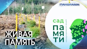 Корни исторической памяти: в Тельмановском округе этой весной расцветёт сад в честь Защитников