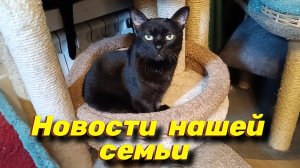 Новости нашей семьи.