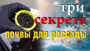 Как приготовить землю для рассады, как выбрать хороший грунт для рассады