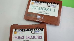 #уроки биологии в школе для естественно-научного факультатива