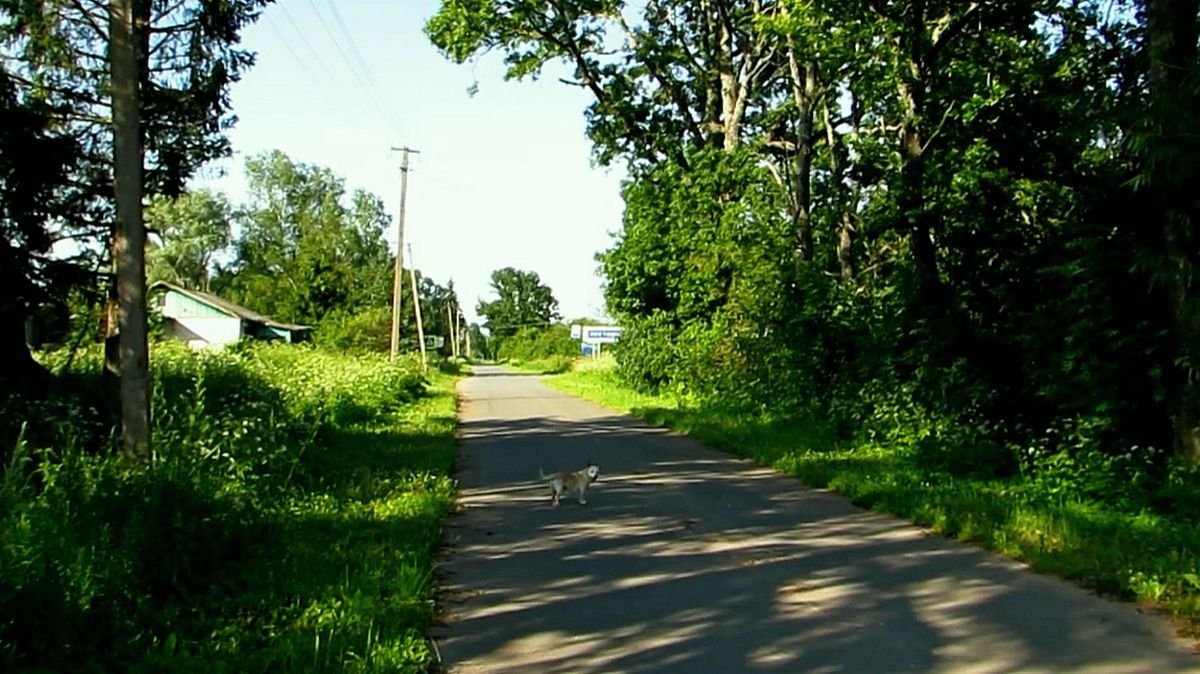 Деревня не спит...