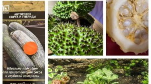 Заказ с WB! Кабачок с ореховым ароматом! Ну и устроил он мне!