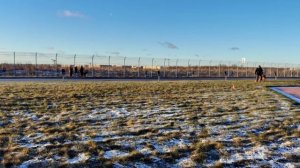 3 Отл. BLADE v. Team Panoniansee №22. САНКТ-ПЕТЕРБУРГ 12 декабря`25 Моно немецких овчарок