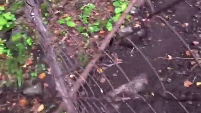 2009.09.10 Владивосток, Находка, ч.47