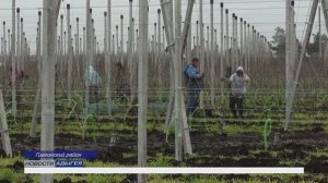 Информационный выпуск Майкопского телевидения 15.12.2025г.