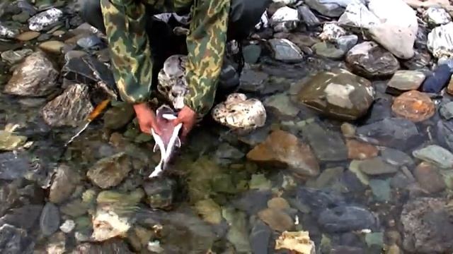 2009.08.02 малая Тында, ч.7