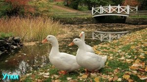 Ответы на Вопросы по Мистике от 17.12.25