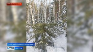 Прямое включение больше десяти рейдов провели полицейские и лесничие с начала операции «Метель»