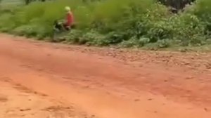 Фокус с исчезновением