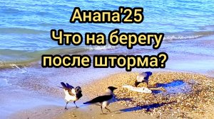 #АНАПА #ШТОРМ #ЕСТЬ ЛИ ВЫБРОСЫ МАЗУТА  17-12-2025