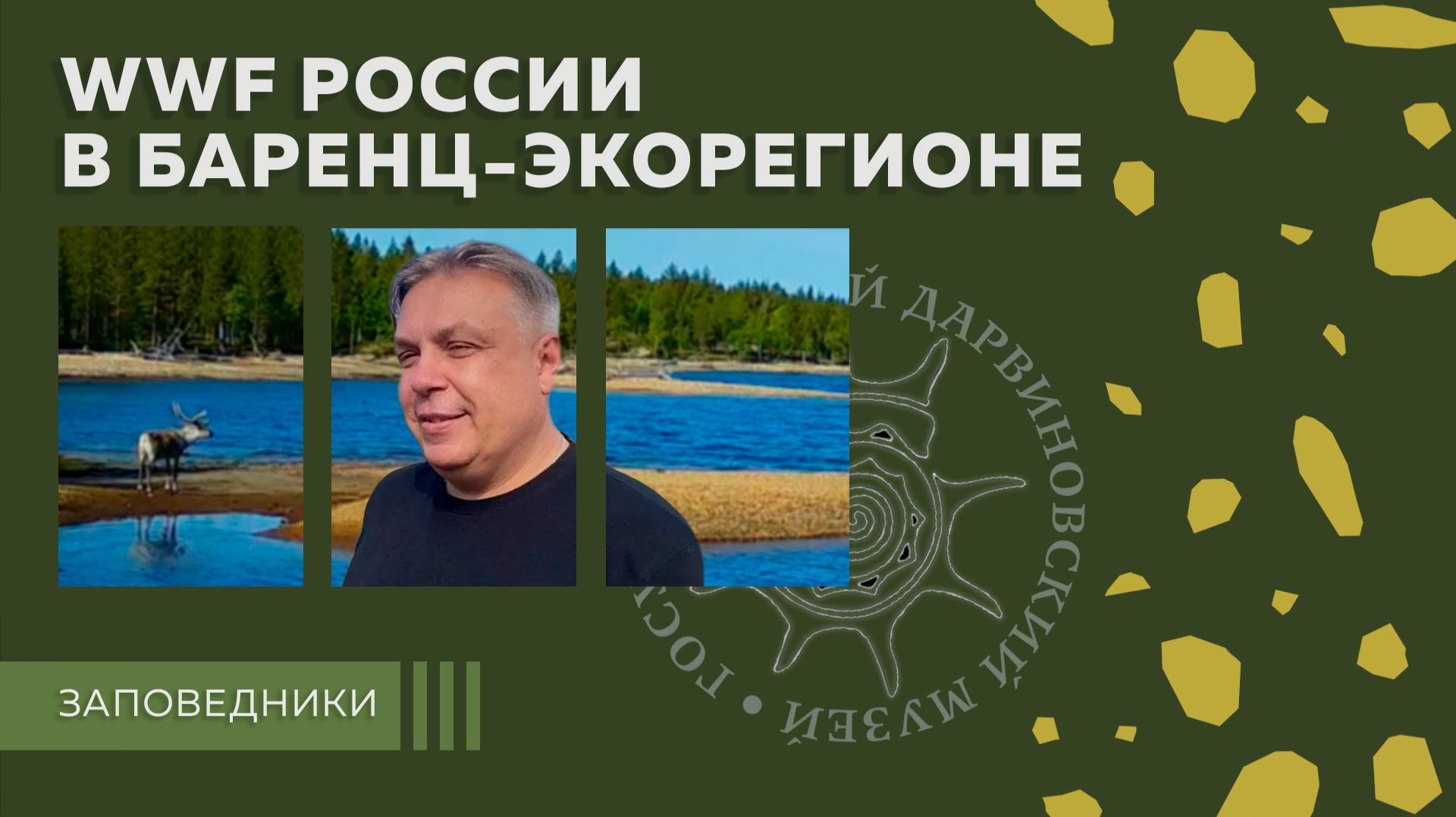 WWF России в Баренц-экорегионе