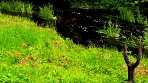 Мистическое...