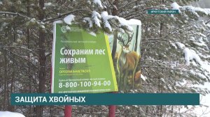 В Иркутской области усилена охрана новогодних ёлок