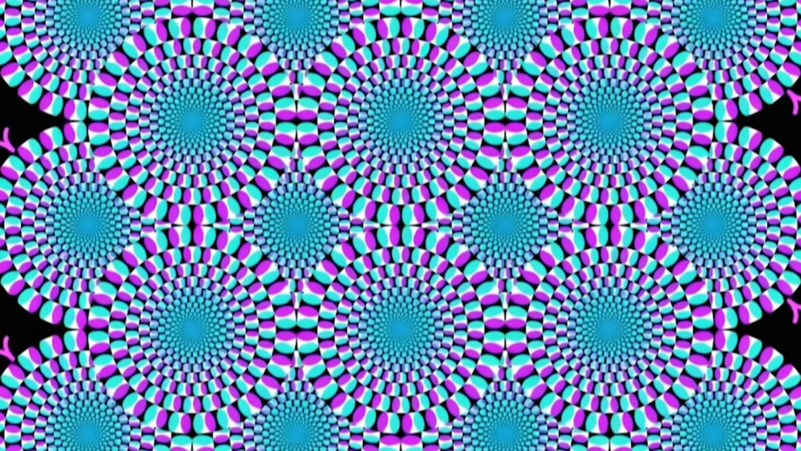 День иллюзий. Такое утро