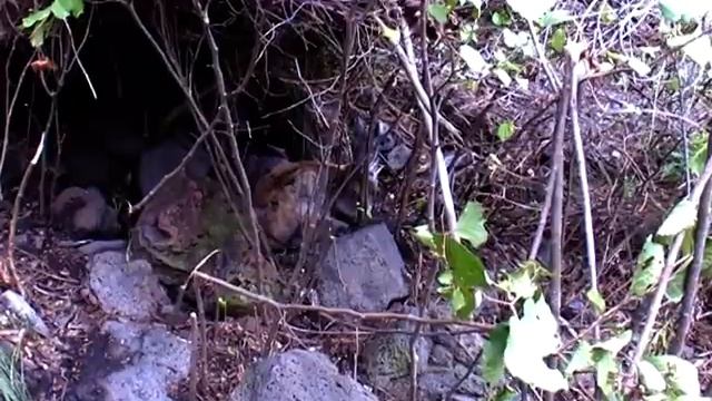 2009.09.10 Владивосток, Находка, ч.41