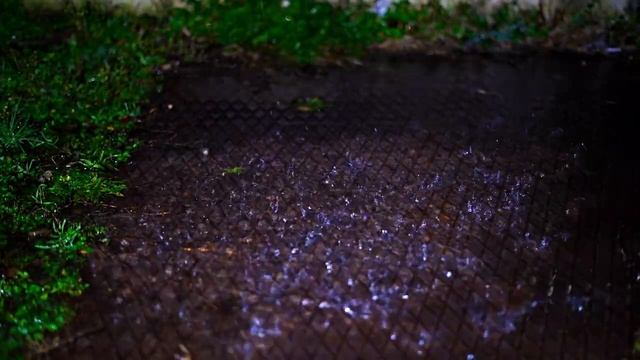 Расслабляющий шум дождя и ветра, 3 часа