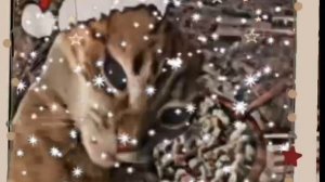 с наступающим новым годом)))!!! 👁👄👁