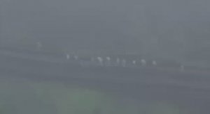 🔴Пленные хряки из города «Гуляйполя», Запорожская область.🔴