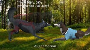 Элли и Мэри эдит ✨ (Я начинаю делать сериал!)