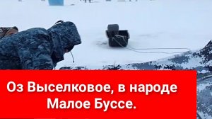 Сахалин,рыбный беспредел на # Оз Буссе.