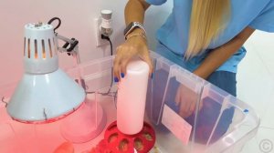 Nastya_Maggie_and_Naomi_are_learning_professions