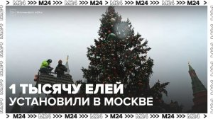 Более 1 тысячи новогодних елей установили в Москве - Москва 24