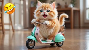 Смешные кошки-коты 2025 😸Лучшие приколы с кошками😸 Кошки😸 Животные- Смешное видео!