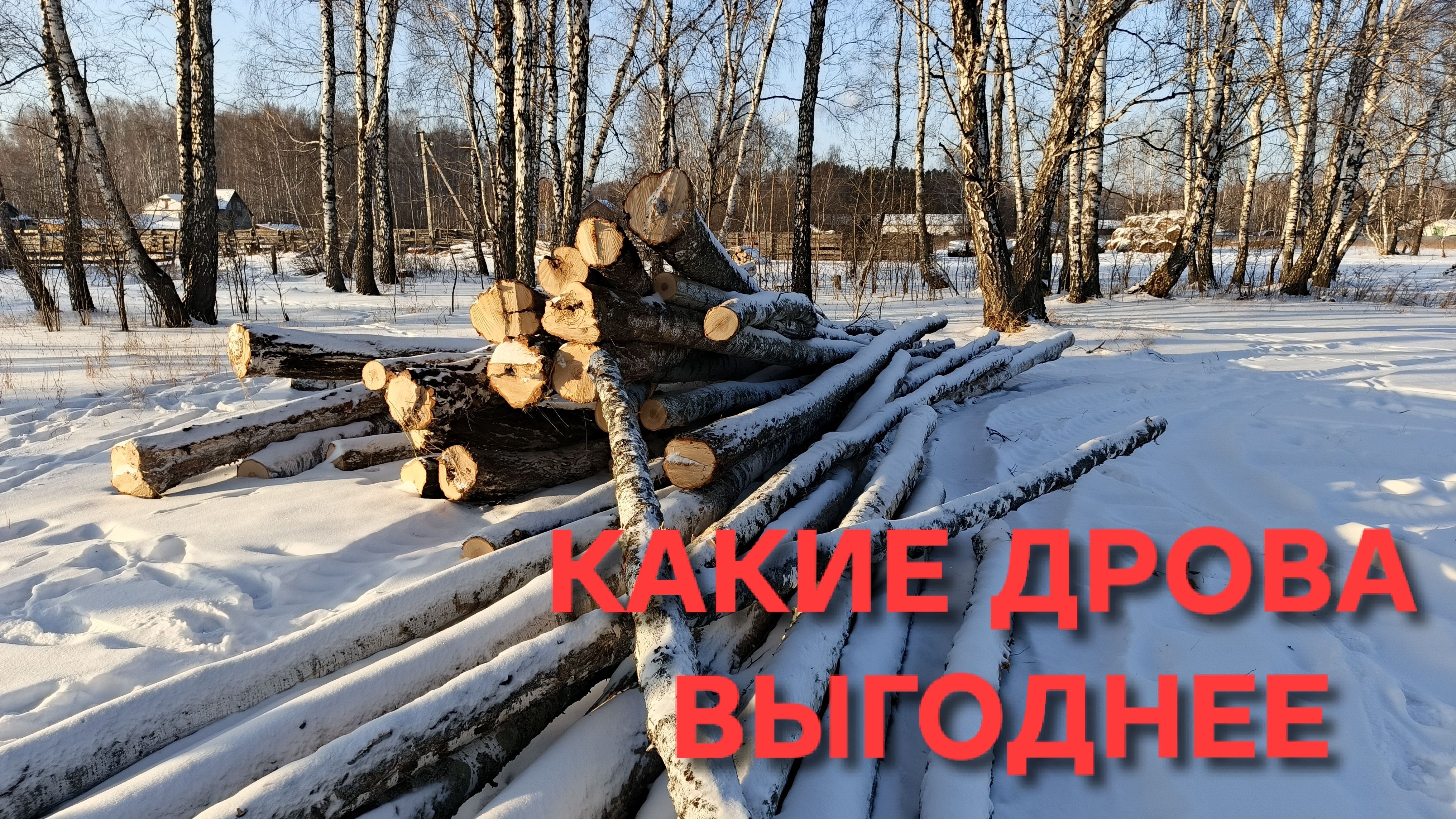 Жизнь в деревне Какие дрова выгоднее покупать Совет от сельского жителя