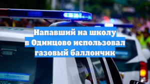 Напавший на школу в Одинцово использовал газовый баллончик
