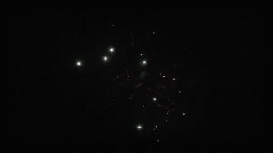 PF125049 Гулять по русски