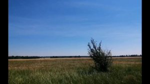 Поездка в Ахтырку Тамбовская обл