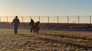 2 Отл. СС Ирендорф ЗАМБИЯ +++ №62. САНКТ-ПЕТЕРБУРГ 12 декабря`25 Моно немецких овчарок