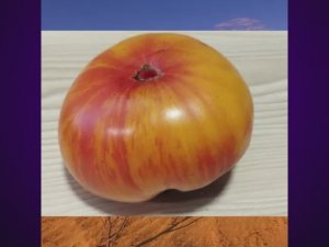 Каталог томатов на 2026 год. Новинки 2025 года. Часть 5. СКИДКИ на СЕМЕНА!  т. 89229284031