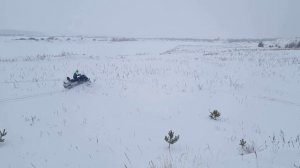 Снегоход Yamaha 500 Venture Multi Purpose.Ямаха 500 Мульте Пурпос.Многоцелевой.Спортивный турист2024