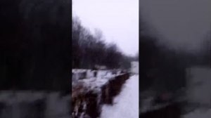 Теплый привет наши дорогие и добрые зрители)