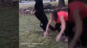 Видео от МЯУтаверс – как метавселенная, но с котами