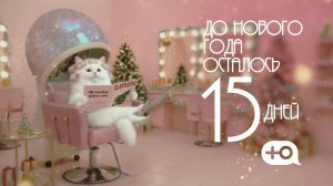 До Нового года осталось 15 дней | Бигуди