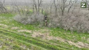 СВО Очередная группа ВСУ сдается плен.