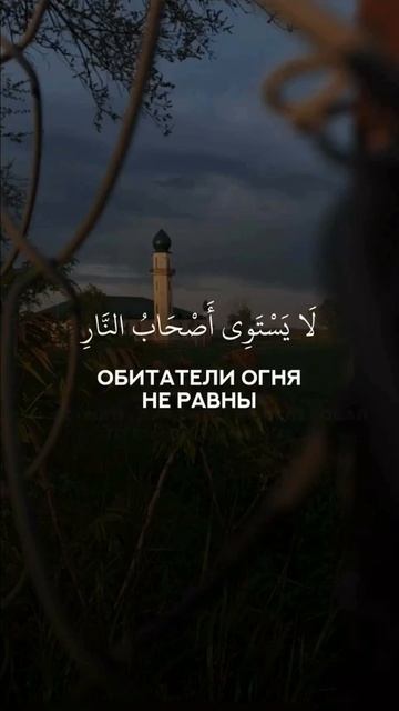 Сура 59 "Аль-Хашр" Аяты 19-20 смотреть онлайн