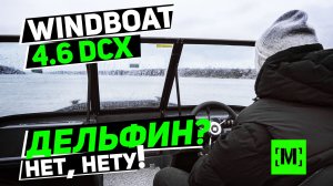 ДЕЛЬФИН НА WINDBOAT 4.6 DCX? НЕТУ, СМОТРИТЕ ВИДЕО! | ЧТО НУЖНО ЗНАТЬ?