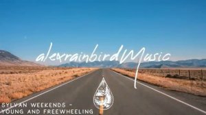 The Open Road 🛣️ - An IndieFolkPop Playlist For Long Drives