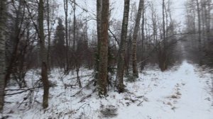 Первый по белой тропе. Охота на зайца.