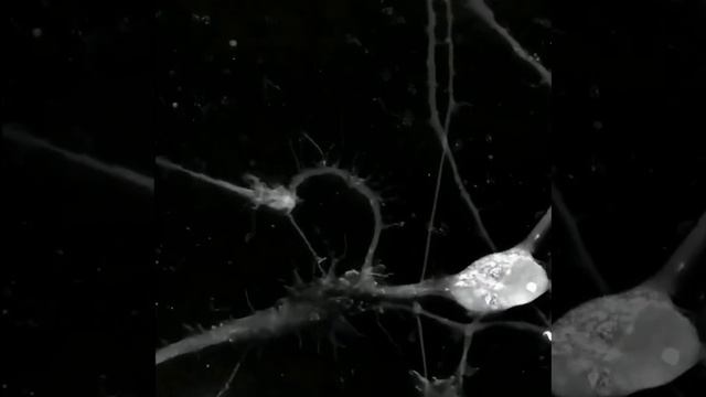 ��� ��� �������� ��� ����, ����� �� ������� ����-�� ������