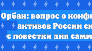 Орбан: фон дер Ляйен сняла вопрос о конфискации активов РФ с повестки саммита ЕС