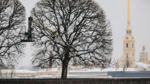 Снежный коллапс в Магадане и Хабаровском крае. Погодные аномалии в Санкт-Петербурге