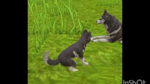 Мини фильм Wildcraft "Дух" 5 серия