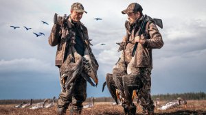 Архангельск 2025 охота на гуся