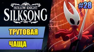 28 Трутовая чаща // Прохождение Hollow Knight: Silksong