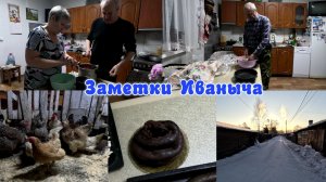 Кровяная колбаса, мясной рулет и житейские дела